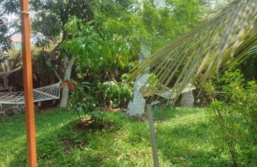 Chendhare House | Green heaven homestay