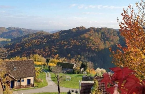 Veliko Trgovisce House | Green Hill Holiday house
