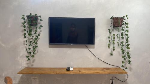 Santo Agostinho House | Green house Enseadas
