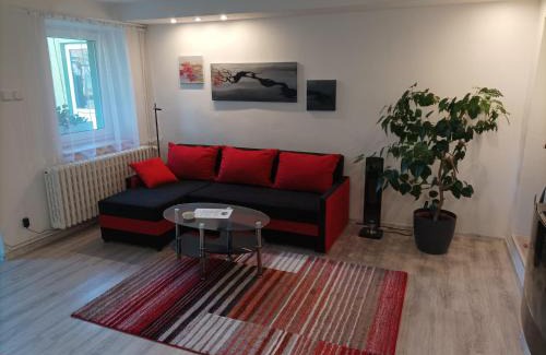 Trebic House | Green House 45