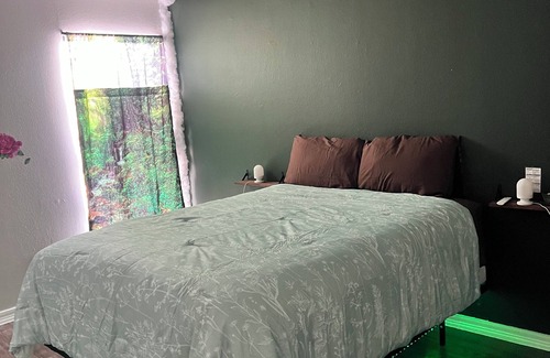 Montrose Apartment | Green Oasis /One bedroom Apartment located downtown Houston Texas