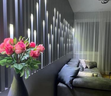 Vienna Apartment | Green Park Apartment
