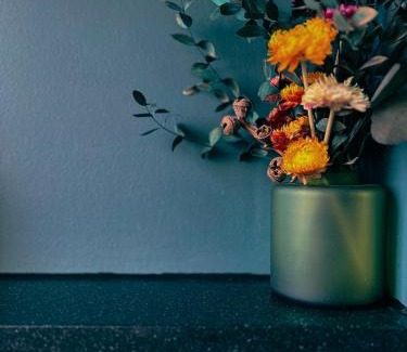 Braddon Apartment | Green Rooms Braddon - Themed Micro Apartments in Canberra's Trendiest Neighborhood