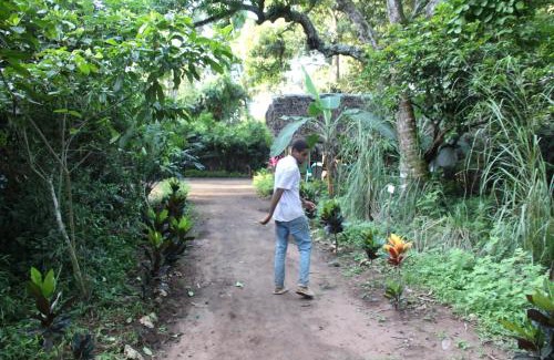 Tunguu Other | Green Tours Park