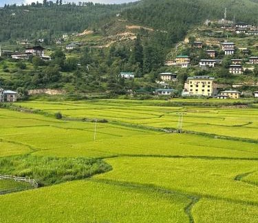 Paro Hotel | Green valley boutique