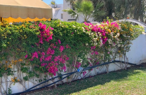 Korba Villa | Green villa 3 minutes to the beach on foot