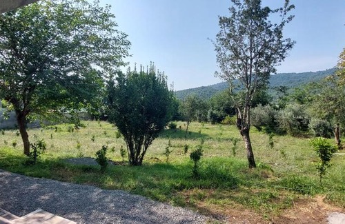 Lankaran Villa | GREEN Village Place