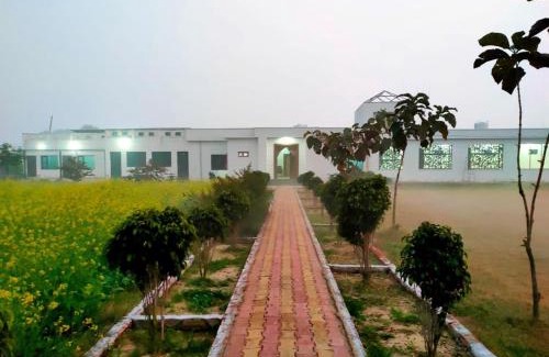 Hisar Bed & Breakfast | Green Wood Homes Bithmara
