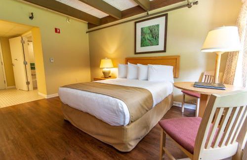 Argillite Resort | Greenbo Lake State Resort Park