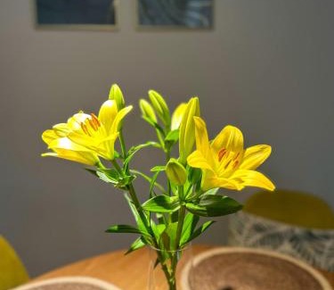 Przemysl Apartment | Greenside SunPark Apartament
