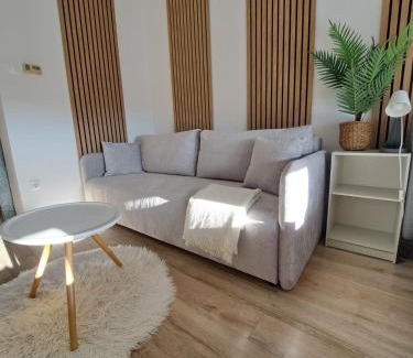 Kecskemet Apartment | GreenStreetApartment
