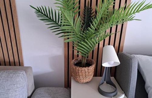 Kecskemet Apartment | GreenStreetApartment