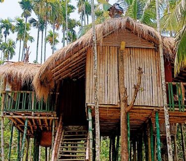 Kaimane House | Greenways Tree House and Mud House