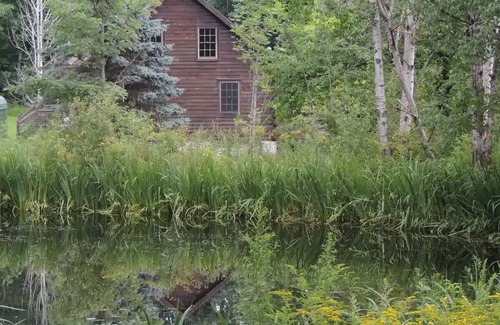 Owego Cabin | Greenwood At Entangled Acres - Log Cabin wWiFi on 16 Acre Animal Sanctuary