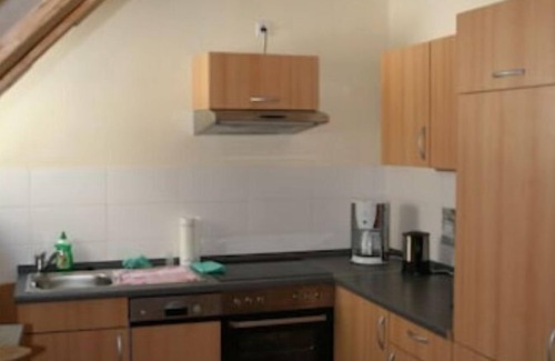 Ehrenfriedersdorf Apartment | Greifenbachmühle - Fewo 1