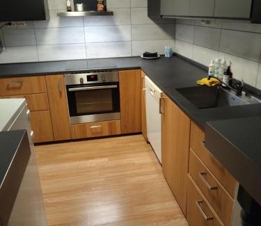 Lardal Municipality Apartment | Grill house