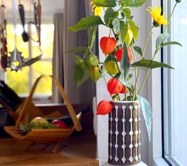 Bad Harzburg Apartment | Gronocottage
