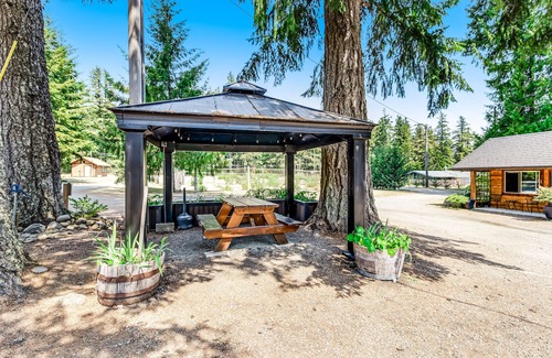 Quilcene Apartment | Ground-floor hiker's studio with mountain views & fast WiFi - dog-friendly