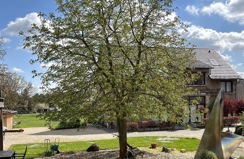 Rangsdorf Apartment | Ground floor Seebadhof