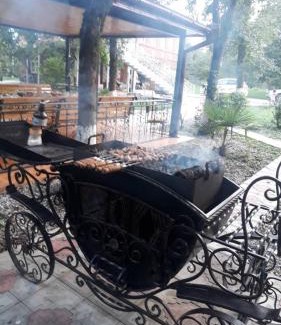 Salkhino House | Guest House Danelia