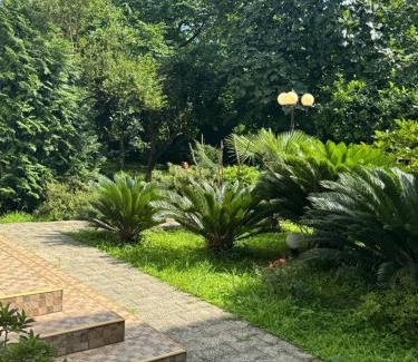 Makhinjauri House | Guest House Giorgi