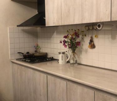 Tsqneti Apartment | Guest House PIROSMANI