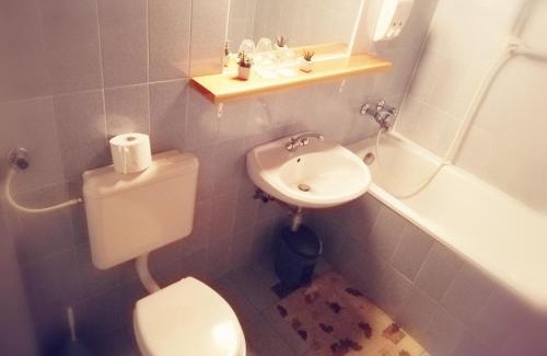 Ljubno ob Savinji House | Guest House Turistična kmetija Plaznik
