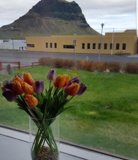Grundarfjordur House | Guesthouse 43