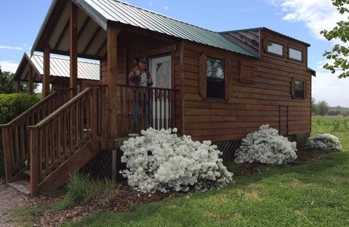 Wicomico Church Cabin | "Gull Cottage" Charming Tiny House on Chesapeake Bay-Boat Launch/Slip included