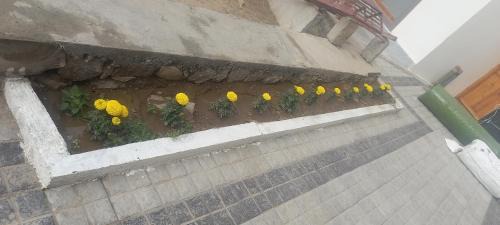 Leh Apartment | gultuk homestay airport road skalzangling leh ladakh