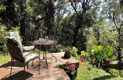 Rocky Point Cabin | Gunnadoo - Ocean View Hut with jacuzzi private rainforest setting