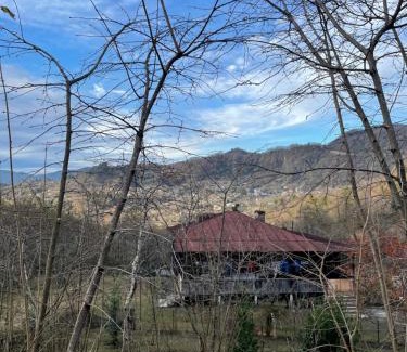 Guria House | Guram’s Gust House
