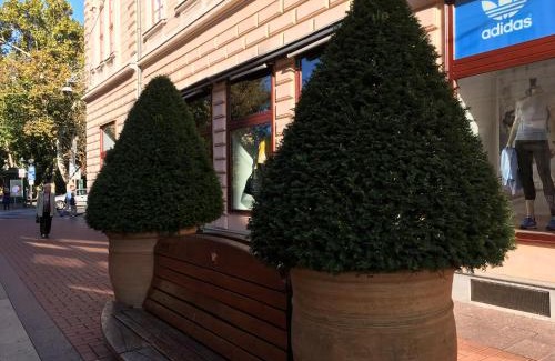 Szeged Apartment | Gutenberg Apartments