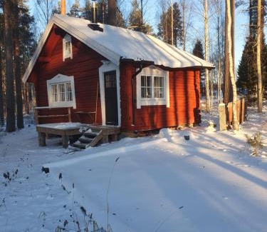 Bollnas House | Härbre Åsbacka