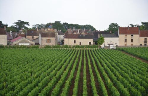 Gevrey-Chambertin Hotel | Hôtel Les Deux Chèvres Gevrey-Chambertin