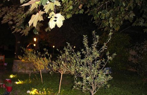 Villieu-Loyes-Mollon Hotel | Hôtel Restaurant Le chanel