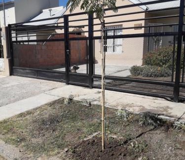 Trelew House | Habitación Privada en La Casa de Thor