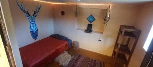 Pisac Cabin | Habitaciones Wallpari Sonqo alto hospedaje medicina temazcal