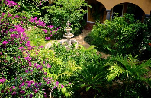 Xcaret House | Hacienda - Hidden Gem in Jungle w/Waterfall Pool & 5 min. Xcaret WaterPark!