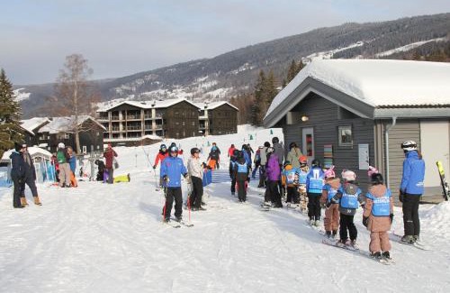 Hafjell Apartment | Hafjelltunet