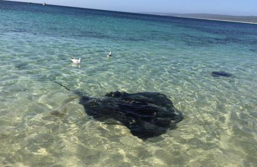 Hamelin Bay House | Hamelin Bay Seaclusion