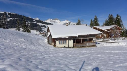 Adelboden House | Hami