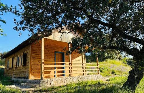 Nuno Gomez House | Hamlet's Friends