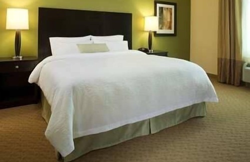 Carrizo Springs Hotel | Hampton Inn Carrizo Springs