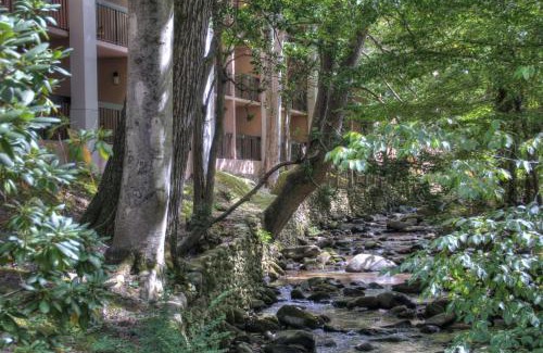 Gatlinburg Hotel | Hampton Inn Gatlinburg