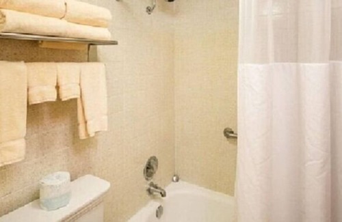 Center Hotel | Hampton Inn & Suites Center