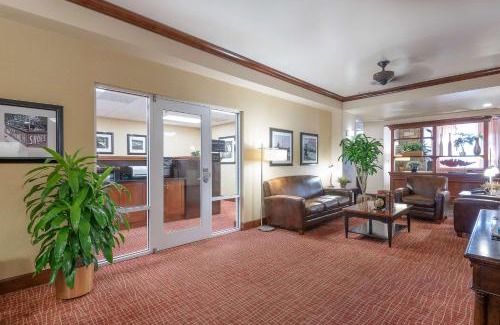 Florence Hotel | Hampton Inn & Suites Florence-North-I-95