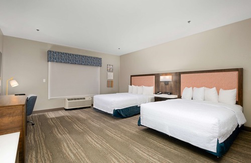Harlingen Hotel | Hampton Inn & Suites Harlingen
