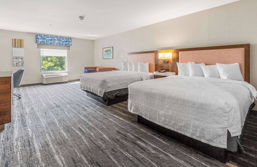 Selma Hotel | Hampton Inn & Suites Selma-San Antonio-Randolph AFB Texas