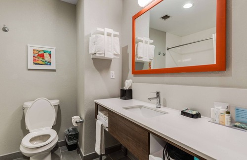 Selma Hotel | Hampton Inn & Suites Selma-San Antonio-Randolph AFB Texas